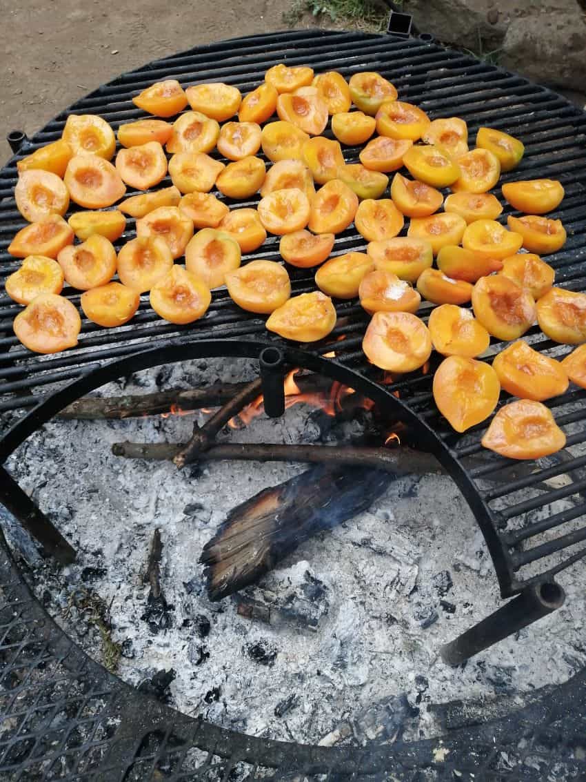 Fresh peaches warming on the open grill.
