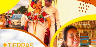 The HIPGive campaign will support nonprofit organizations in Quintana Roo, Campeche and Yucatán.