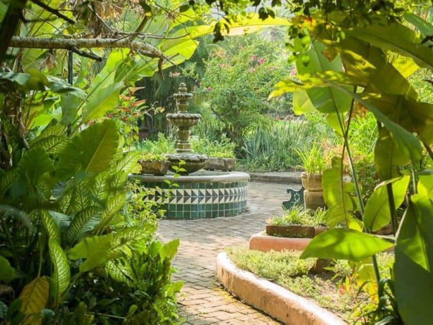 The home's courtyard garden is the perfect place to relax and reconnect with nature.