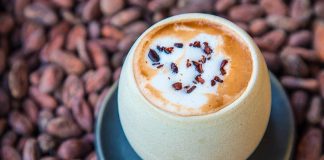 Jangala: Cacao y Selva café in San Cristóbal de las Casas, Chiapas