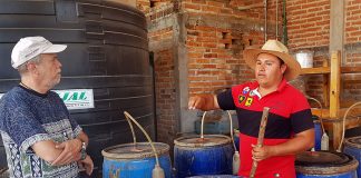 Barrels at Agave Azul distillery