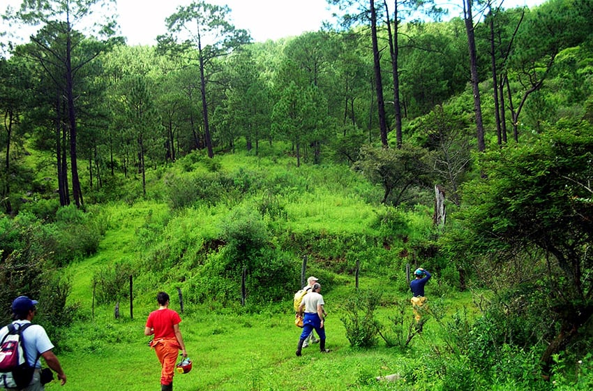 Sierra Lalo, Jalisco