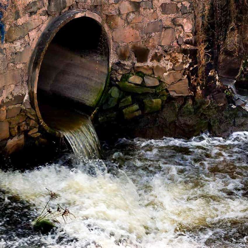 untreated sewage flows into Arroyo Ahogado in Guadalajara