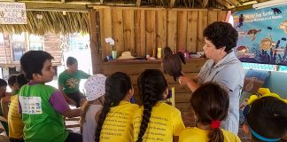 At Campamento Tortuguero Ayotlcali's summer camps, children interact with the refuge's turtles. Educators hope to promote lifelong interest in the animals.