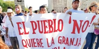 Protesters in Homún, Yucatan.