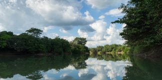 northern Tabasco wetlands