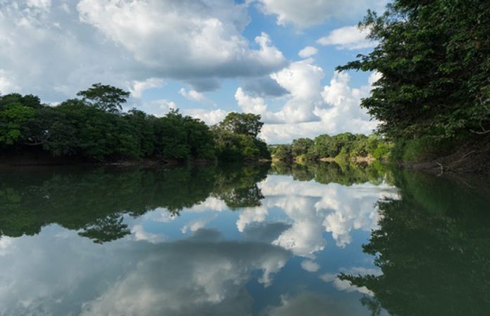 northern Tabasco wetlands