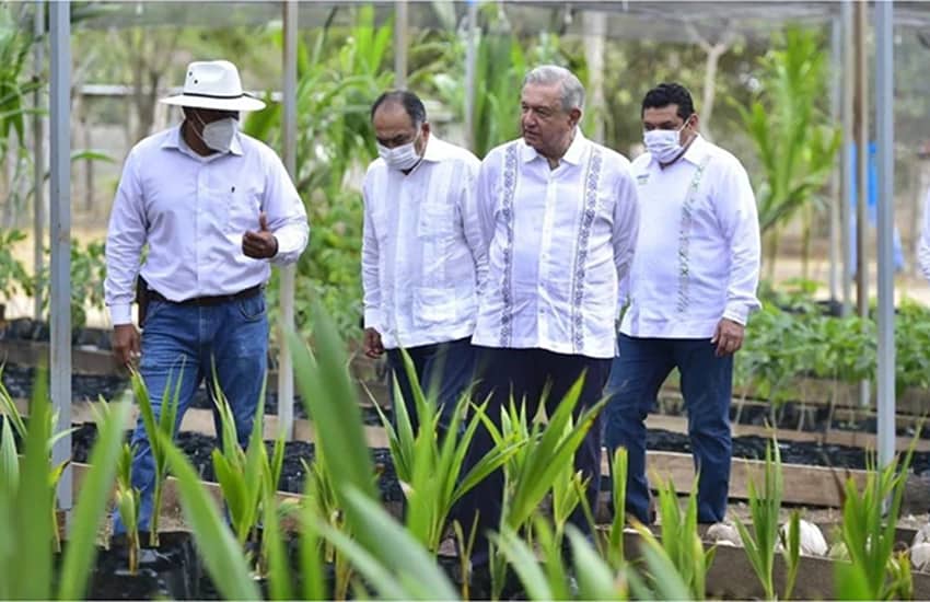 President Andres Manuel Lopez Obrador Sembrando Vida program