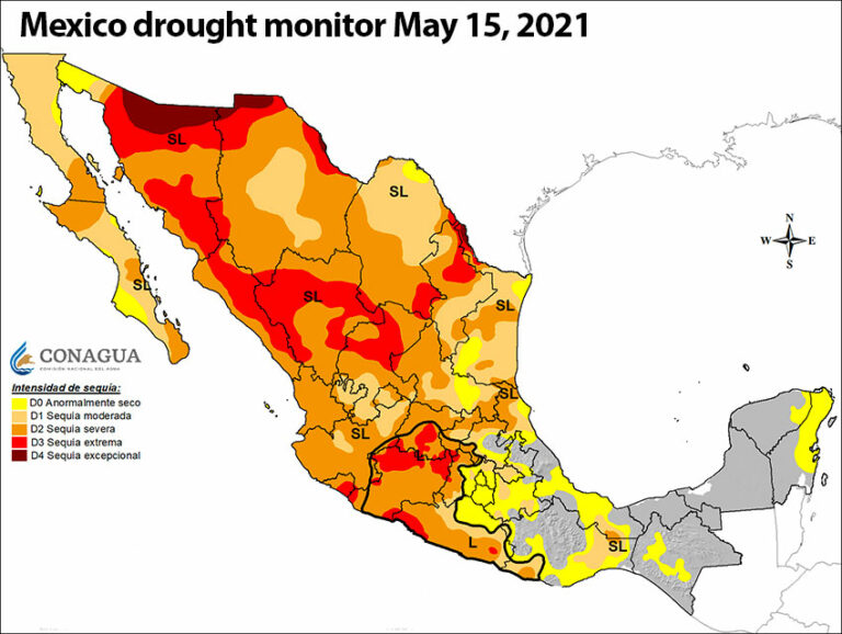 Lack of irrigation water puts Chihuahua on brink of social and economic crisis Lack of irrigation water puts Chihuahua on brink of social and economic crisis
