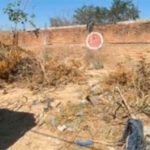 The vacant lot where the bags were located.