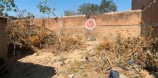 The vacant lot where the bags were located.