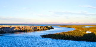The Vizcaíno Biosphere Reserve in Baja California Sur