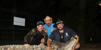 crocodile in Mazatlan