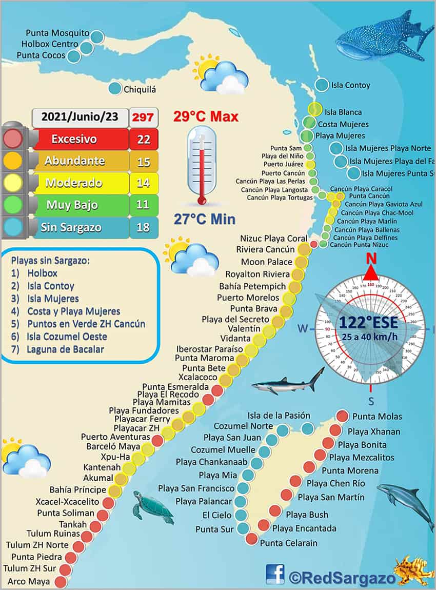 Quintana Roo Sargassum Monitoring Network map 6-23-2021