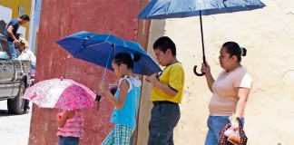 Temperatures could reach 50 C in some parts of the state this week.