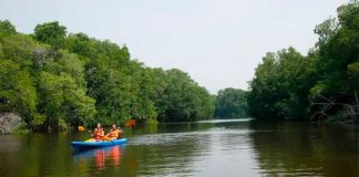Manialtepec Lagoon in Puerto Escondido, Oaxaca.