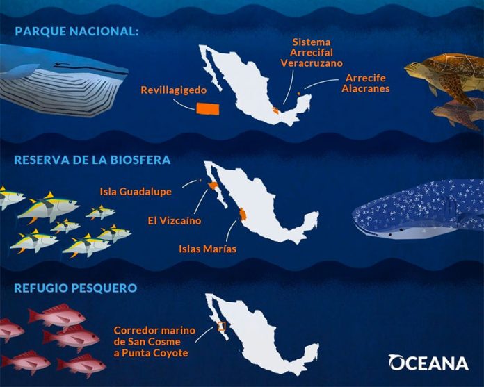 The protected areas where illegal fishing has taken place.