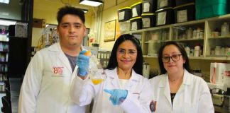 IPN researchers who were on the team that made the discovery.