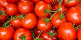 tomatoes