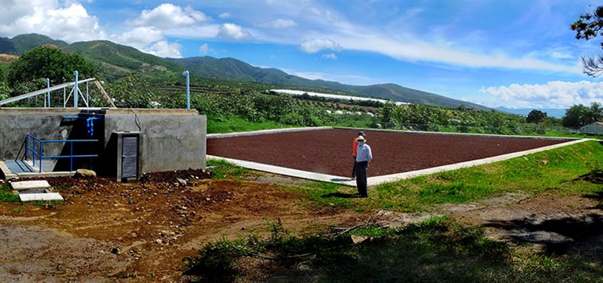 wetland processor