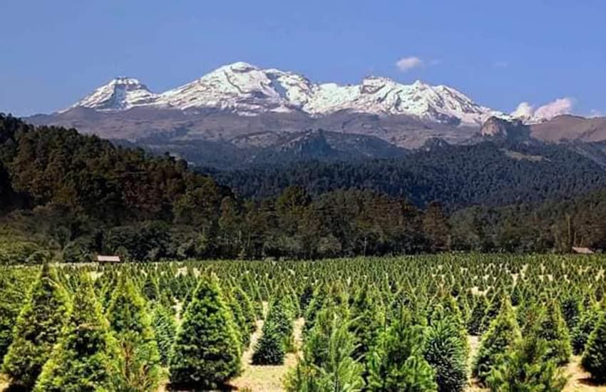 Ejido Bosque Esmeralda, México state