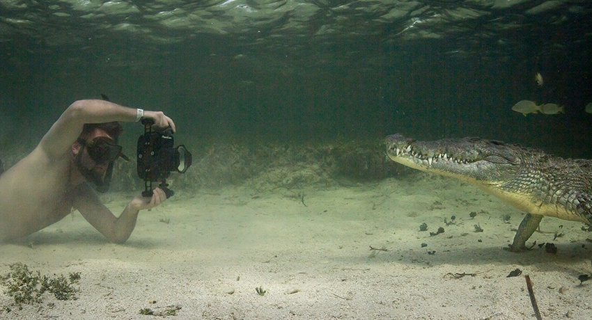 Forrest Galante interacting with crocodiles in Mexican waters