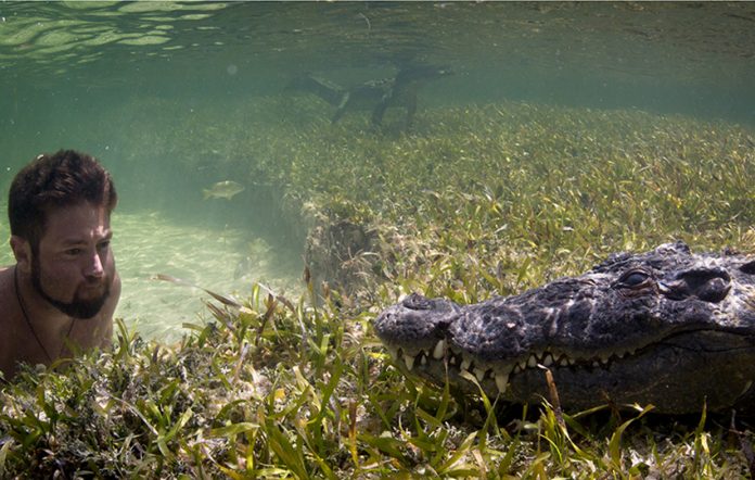 Forrest Galante interacting with crocodiles in Mexican waters