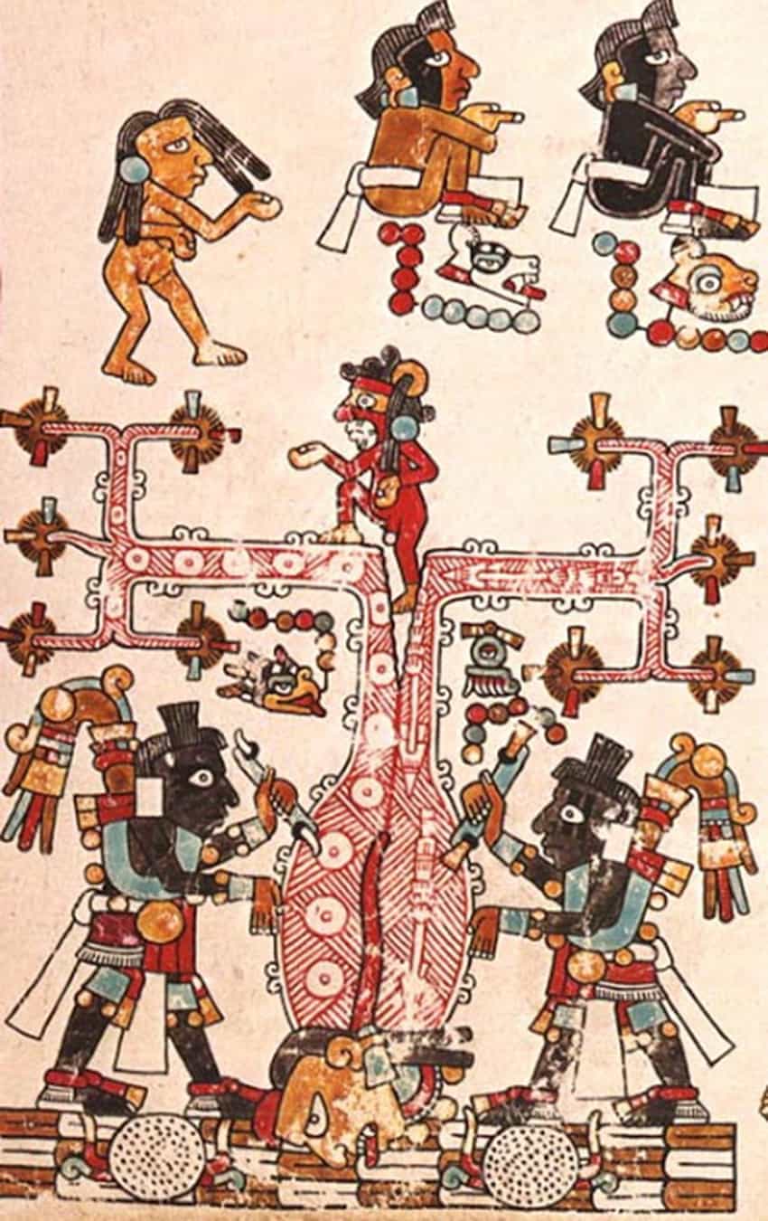 image from the Vindobonensis Codex