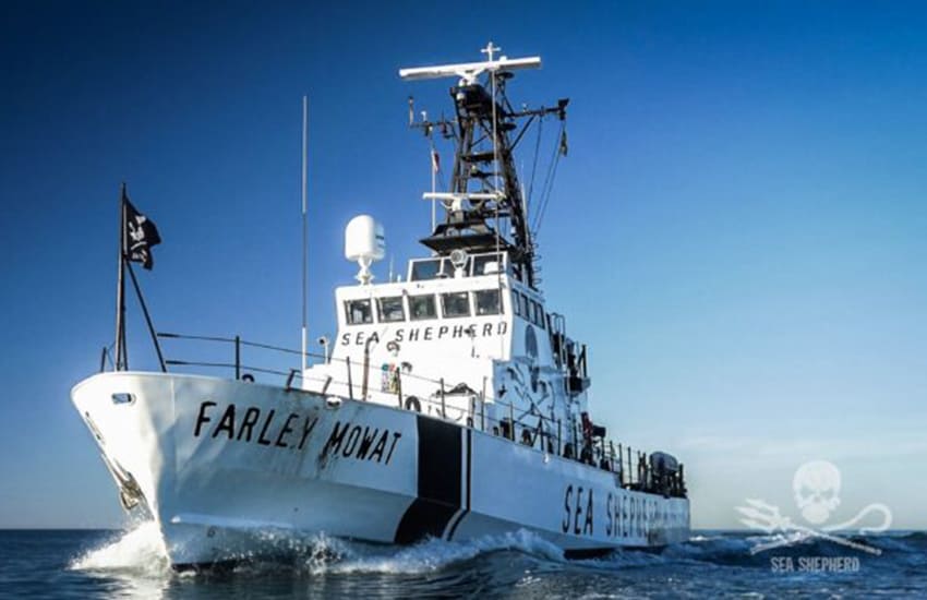 The Sea Shepherd Conservation Society's boat the Farley Mowat.