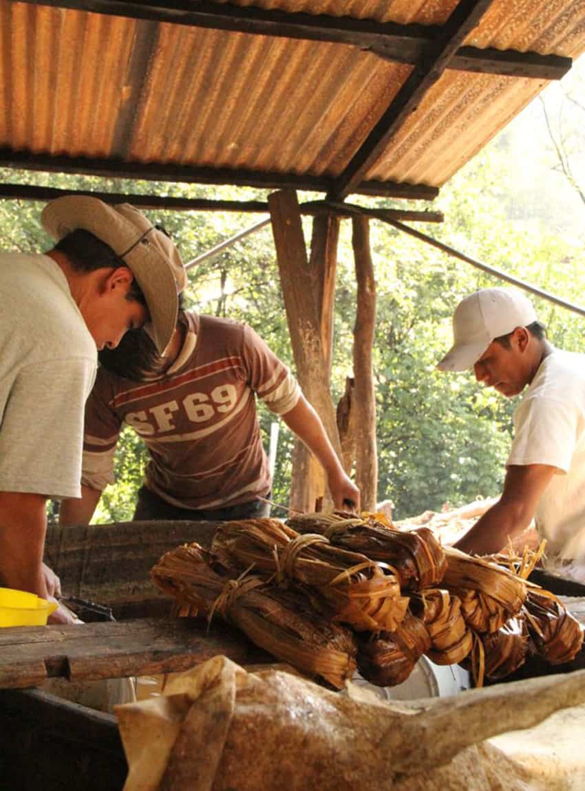 Posheria distillery workers preparing the beverage pox