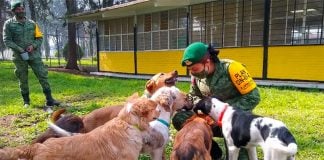 The army's dog shelter at Santa Lucía.