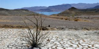 Lake Mead, which serves seven U.S. states and three in Mexico, is drying up