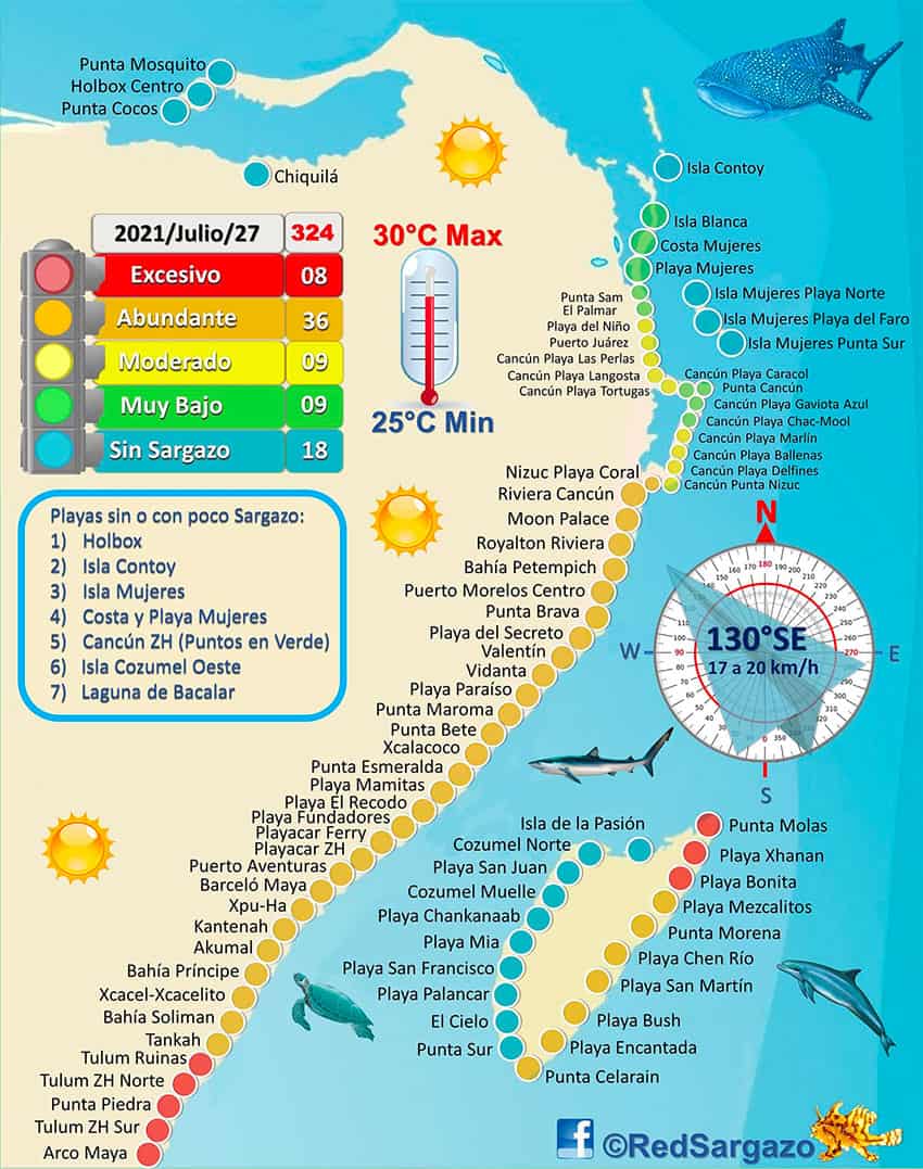 The sargassum situation in Quintana Roo 