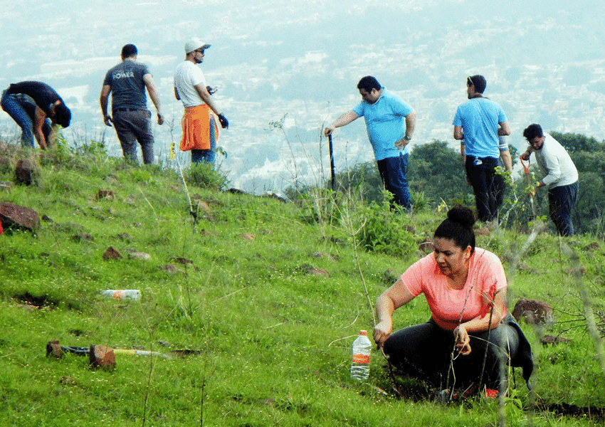 Planting trees in El Cerro del Cuatro, Jalisco