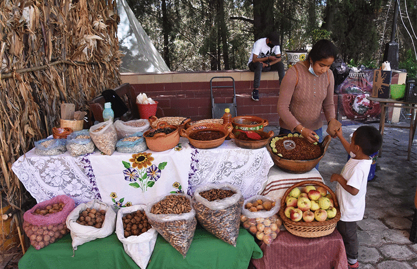Feria de la Nuez de Castilla in San Pedro Yancuitlalpan, Puebla