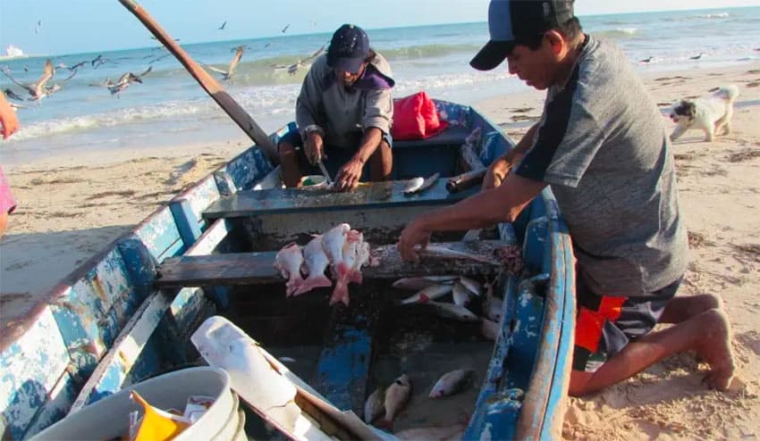 yucatan fishermen