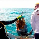 A Yucatán fisherman with lobster