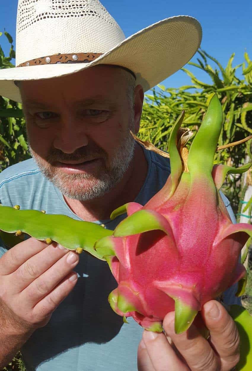 Dragon Fruit Cactus – Carlo's Plant Farm