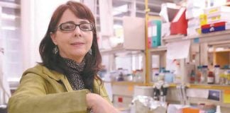 María Elena Álvarez-Buylla