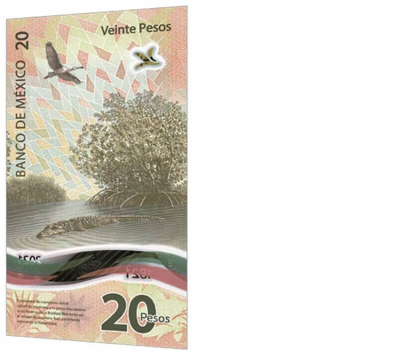 Reverse side of the new bill.