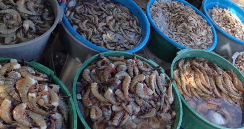 shrimp vendors in Mazatlan