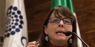 Conacyt director María Elena Álvarez-Buylla