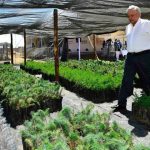President López Obrador inspects a nursery