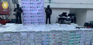 The license plate haul by police in Mexico City.