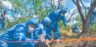 Investigators search for human remains