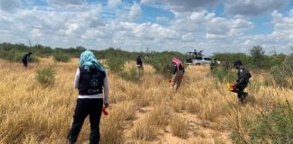 Searchers at work in Tamaulipas.