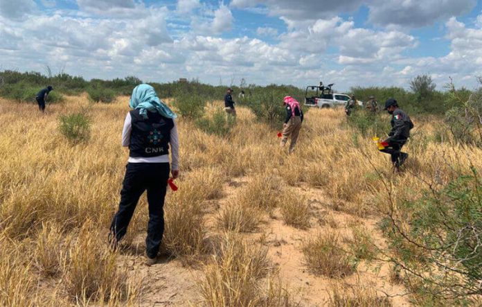 Searchers at work in Tamaulipas.