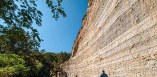 Primavera Forest, Guadalajara