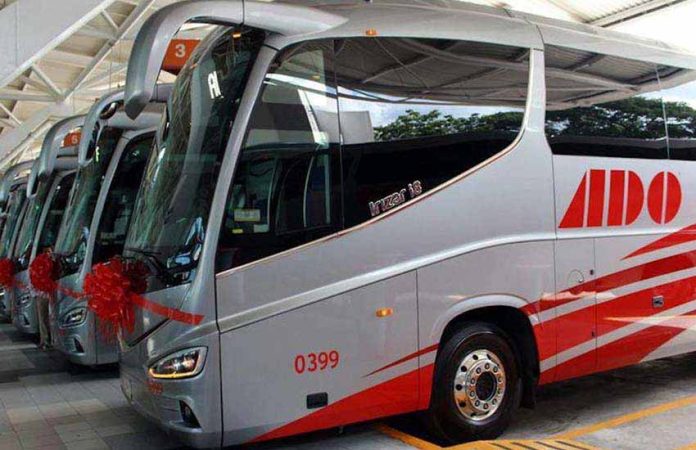 Autobuses de Oriente buses