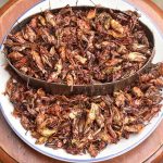 cooked grasshoppers